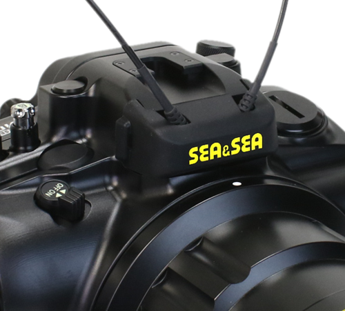 Sea&Sea_optical_fiber