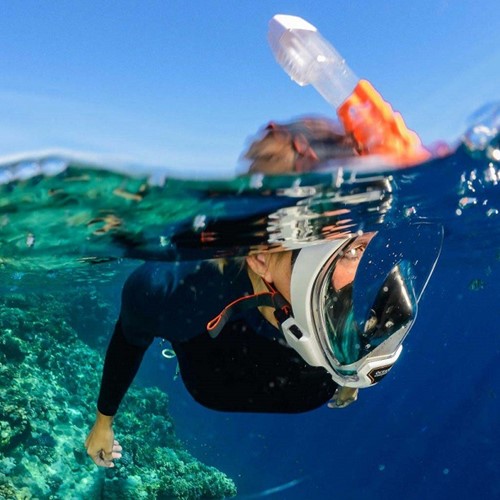 Oceanreef_aria_QR+_live1