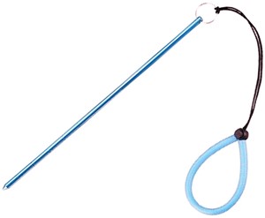 Beaver pointer stick