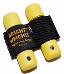Bright Weights Holsterband tbv 2x0.5 