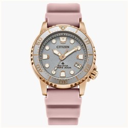 Citizen Promaster EO2023-00A 