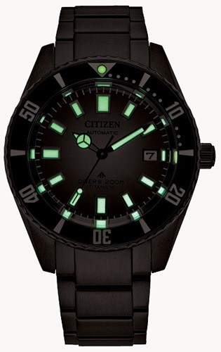 Citizen Promaster NB6025-59H-2