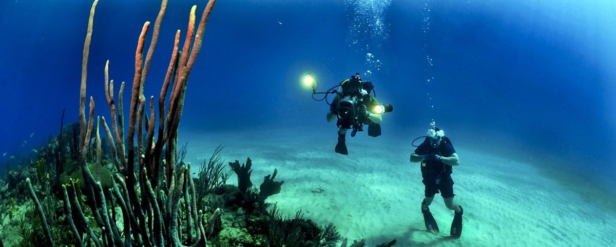 Open water zwemmen: 9 tips + let hierop als je je uitrusting koopt