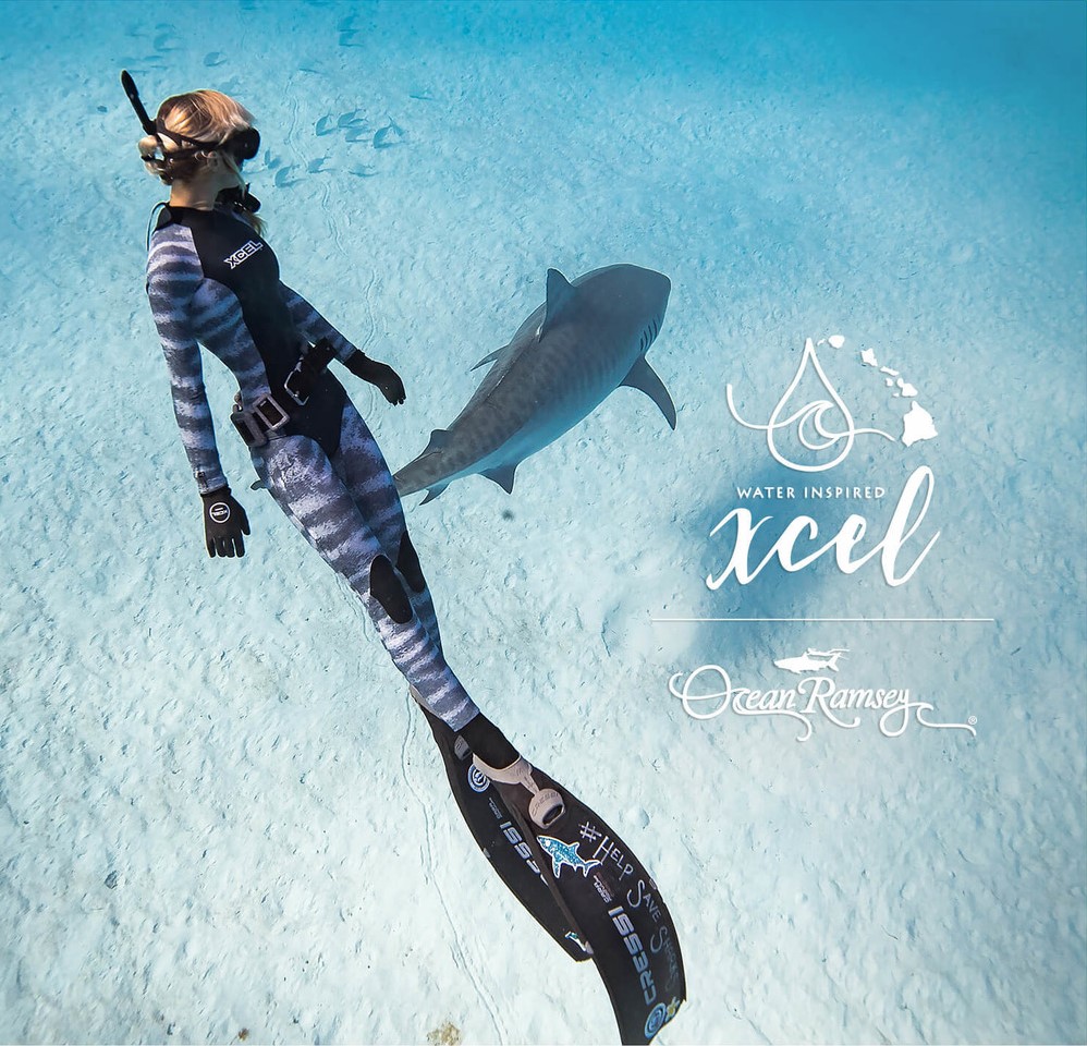 xcel freedive wetsuit